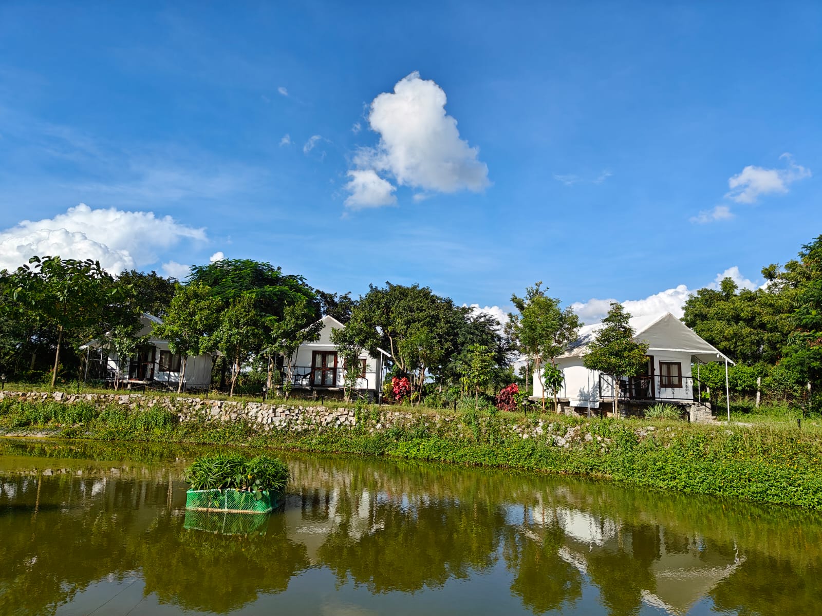 White cottages reflecting in the pond at Arbor Road Estate